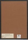 Nitzschia africana Grun. (de-Toni-Nr.: Genus 47, Species 2177) Zeichnungen Sammlung Grunow Mappe 02297 (Herbarium_W_Grunow_drawings_Folder_02297)